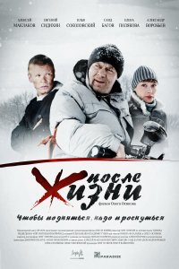 После жизни (фильм 2008)